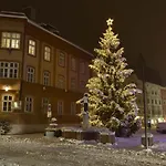 Waldblick Appartement
