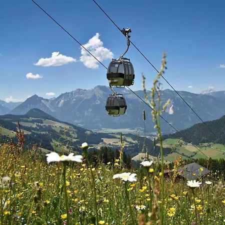 Apartment Ferienwohnung Waldblick Kramsach
