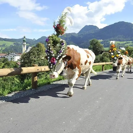 Ferienwohnung Waldblick